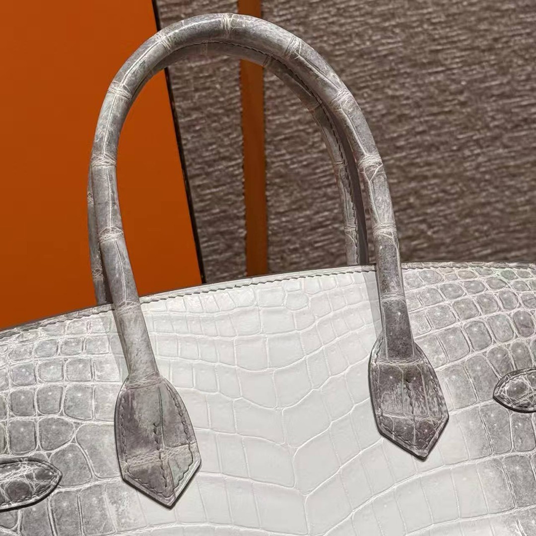 Hermes Birkin 30 Bag Himalaya Handmade In Niloticus Leather From Nile Silver Hardware - Image 19