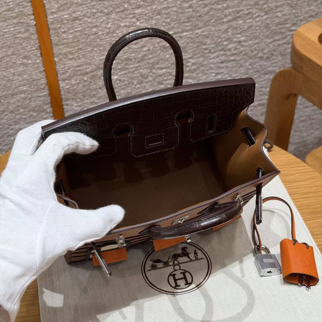 Hermes Birkin Faubourg 20 Bag Handmade In Madame and Alligator Leather Silver Hardware 37 gold 46 ebene 4G Brulee - Image 9