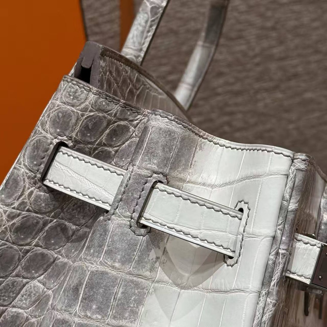 Hermes Birkin 30 Bag Himalaya Handmade In Niloticus Leather From Nile Silver Hardware - Image 21