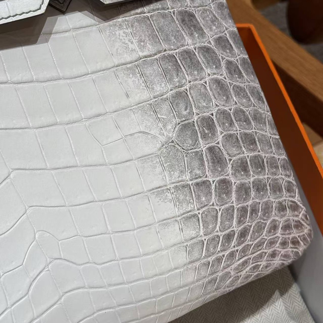 Hermes Birkin 30 Bag Himalaya Handmade In Niloticus Leather From Nile Silver Hardware - Image 16