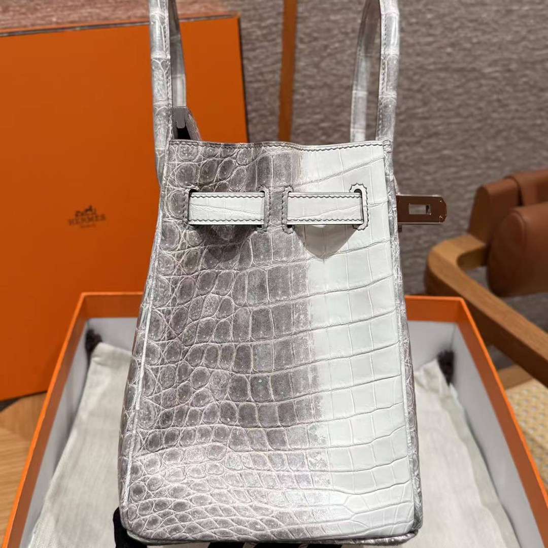 Hermes Birkin 30 Bag Himalaya Handmade In Niloticus Leather From Nile Silver Hardware - Image 13