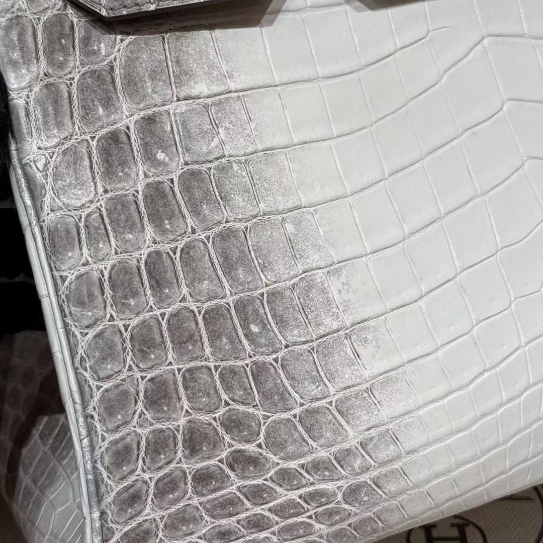 Hermes Birkin 30 Bag Himalaya Handmade In Niloticus Leather From Nile Silver Hardware - Image 17
