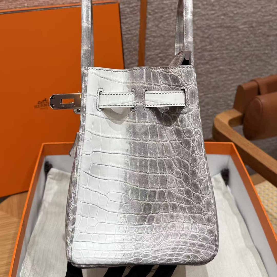 Hermes Birkin 30 Bag Himalaya Handmade In Niloticus Leather From Nile Silver Hardware - Image 11