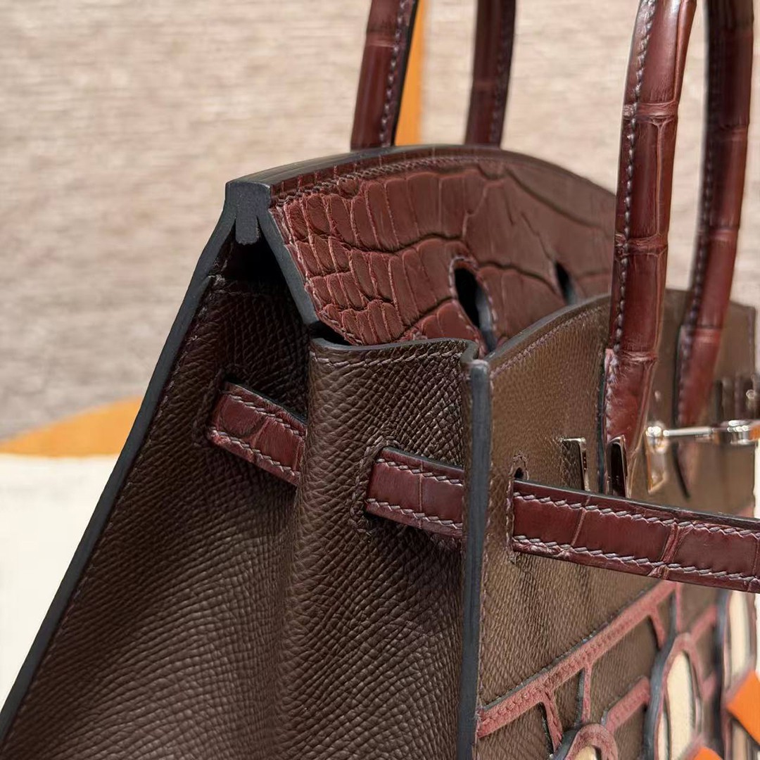 Hermes Birkin Faubourg 20 Bag Handmade In Madame and Alligator Leather Silver Hardware 0G Rouge Sellier 46 Ebene 55 Rouge H - Image 17