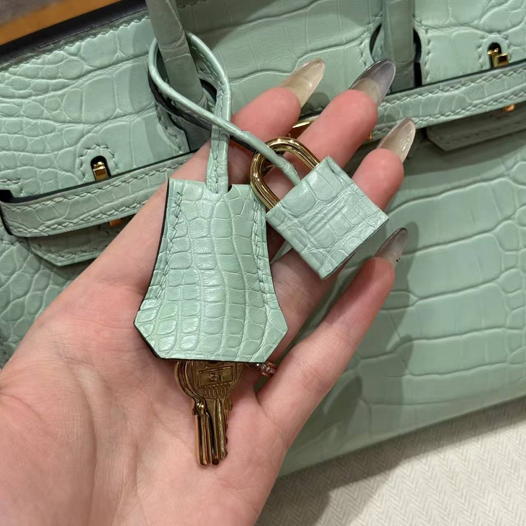 Hermes Birkin 20 Bag Handmade In Matte Alligator Leather Gold Hardware 6W Menthe - Image 16