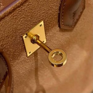 Hermes Birkin Grizzly 25 Bag Handmade In Swift Calfskin Leather And Grizzly Gold Hardware 37 Gold - Image 7