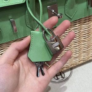 Hermes Birkin Picnic 25 Bag Handmade In Swift Calfskin Leather Silver Hardware 3i Vert Criquet - Image 3