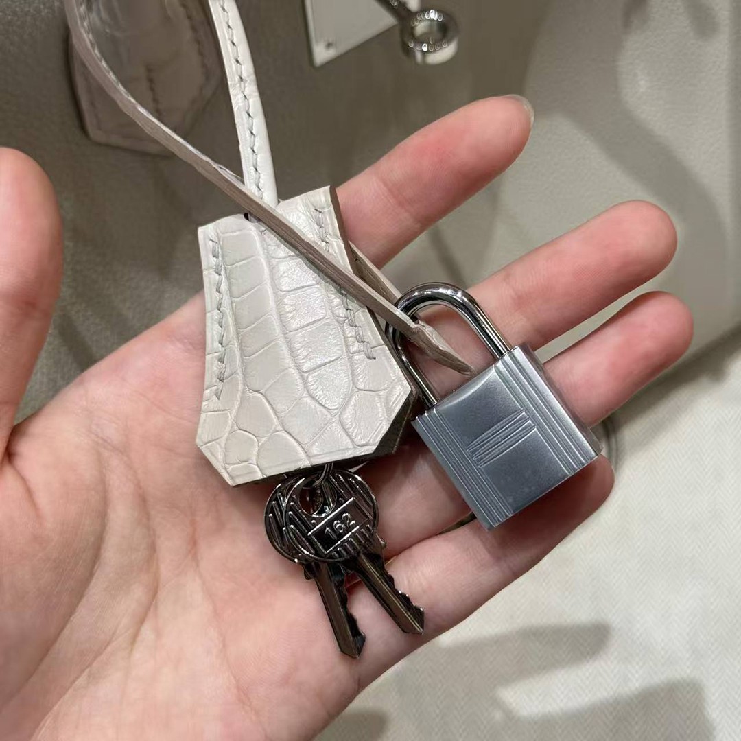 Hermes Birkin Touch 30 Bag Handmade In Togo Calfskin Leather And Matte Alligator Leather Silver Hardware 8L Beton - Image 5