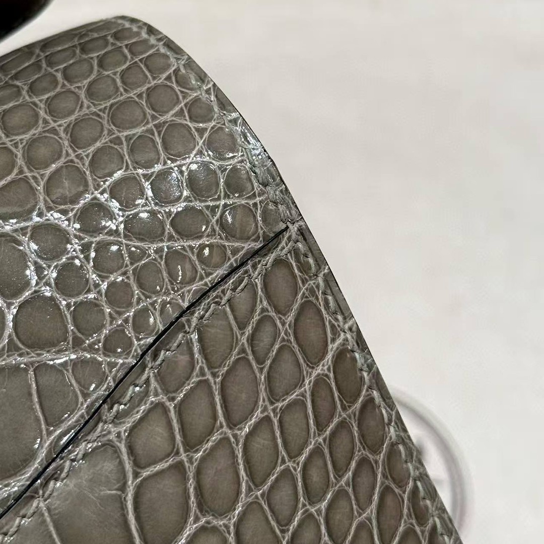 Hermes Constance 24 CM Bag Handmade In Bright Faced American Alligator Leather Silver Hardware 81 Girs Tourerlle - Image 5