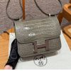 Hermes Constance 24 CM Bag Handmade In Bright Faced American Alligator Leather Silver Hardware 81 Girs Tourerlle
