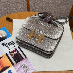 Hermes Constance 19 CM Bag Handmade In Lizard Leather from South Africa Gold Hardware 1B Ombre - Image 5