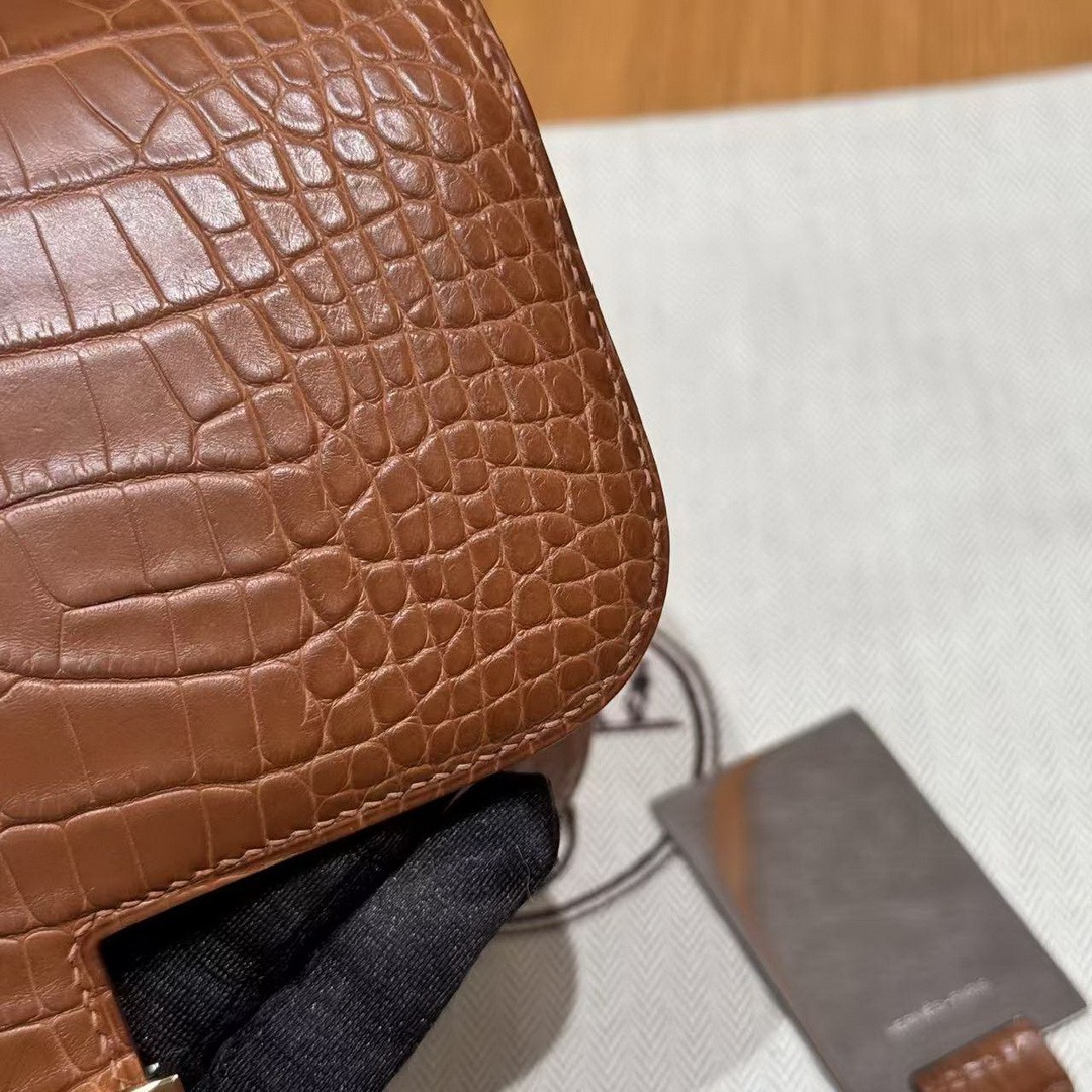 Hermes Constance 19 CM Bag Handmade In Matte Alligator Leather from Mississippi Gold Hardware 37 Gold - Image 7