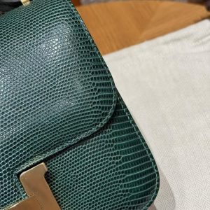 Hermes Constance 19 CM Bag Handmade In Lizard Leather from South Africa Gold Hardware 60 Vert Cypress - Image 25
