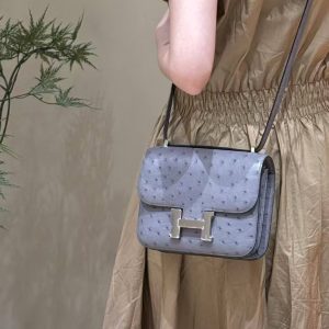 Hermes Constance 19 CM Bag Handmade In KK Ostrich Leather from South Africa Silver Hardware 82 Girs Agate - Image 4