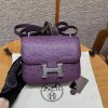Hermes Constance 19 CM Bag Handmade In KK Ostrich Leather from South Africa Silver Hardware P9 Anemone