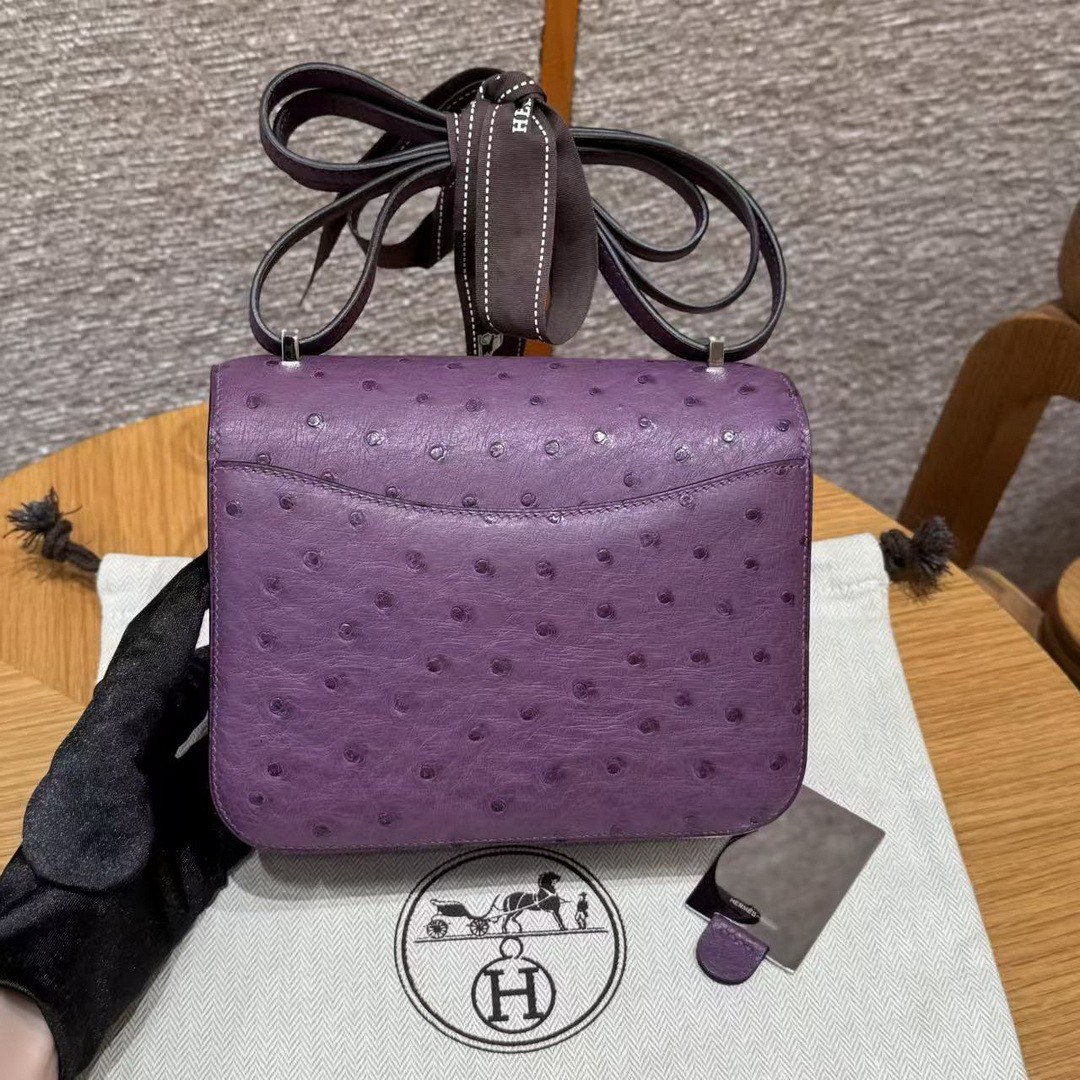 Hermes Constance 19 CM Bag Handmade In KK Ostrich Leather from South Africa Silver Hardware P9 Anemone - Image 2
