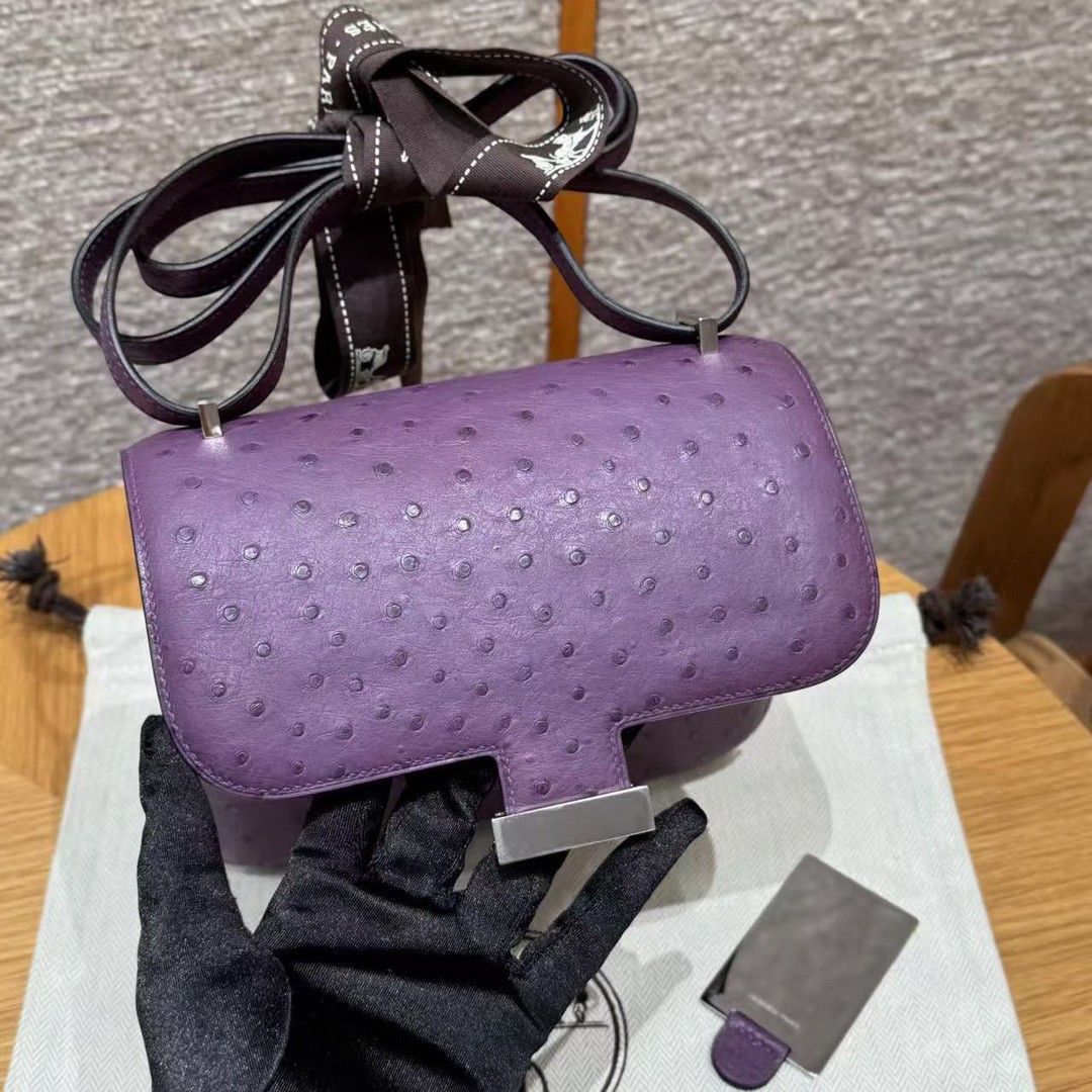 Hermes Constance 19 CM Bag Handmade In KK Ostrich Leather from South Africa Silver Hardware P9 Anemone - Image 23