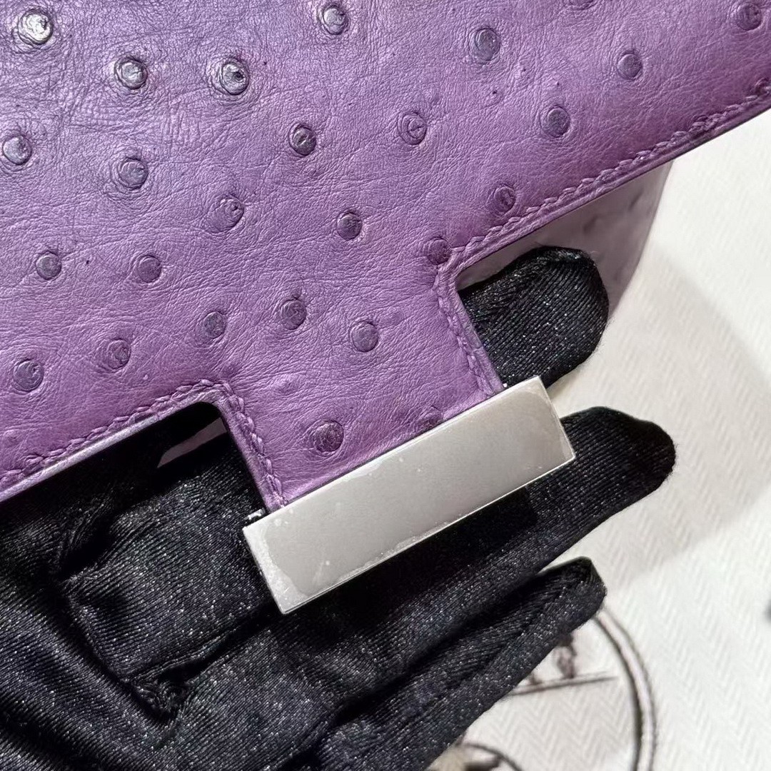 Hermes Constance 19 CM Bag Handmade In KK Ostrich Leather from South Africa Silver Hardware P9 Anemone - Image 15