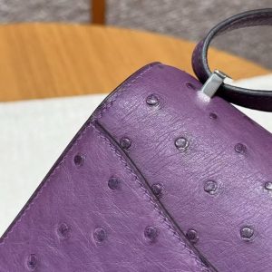 Hermes Constance 19 CM Bag Handmade In KK Ostrich Leather from South Africa Silver Hardware P9 Anemone - Image 8