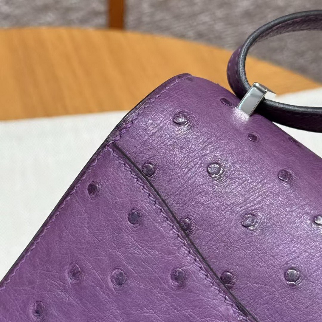Hermes Constance 19 CM Bag Handmade In KK Ostrich Leather from South Africa Silver Hardware P9 Anemone - Image 8