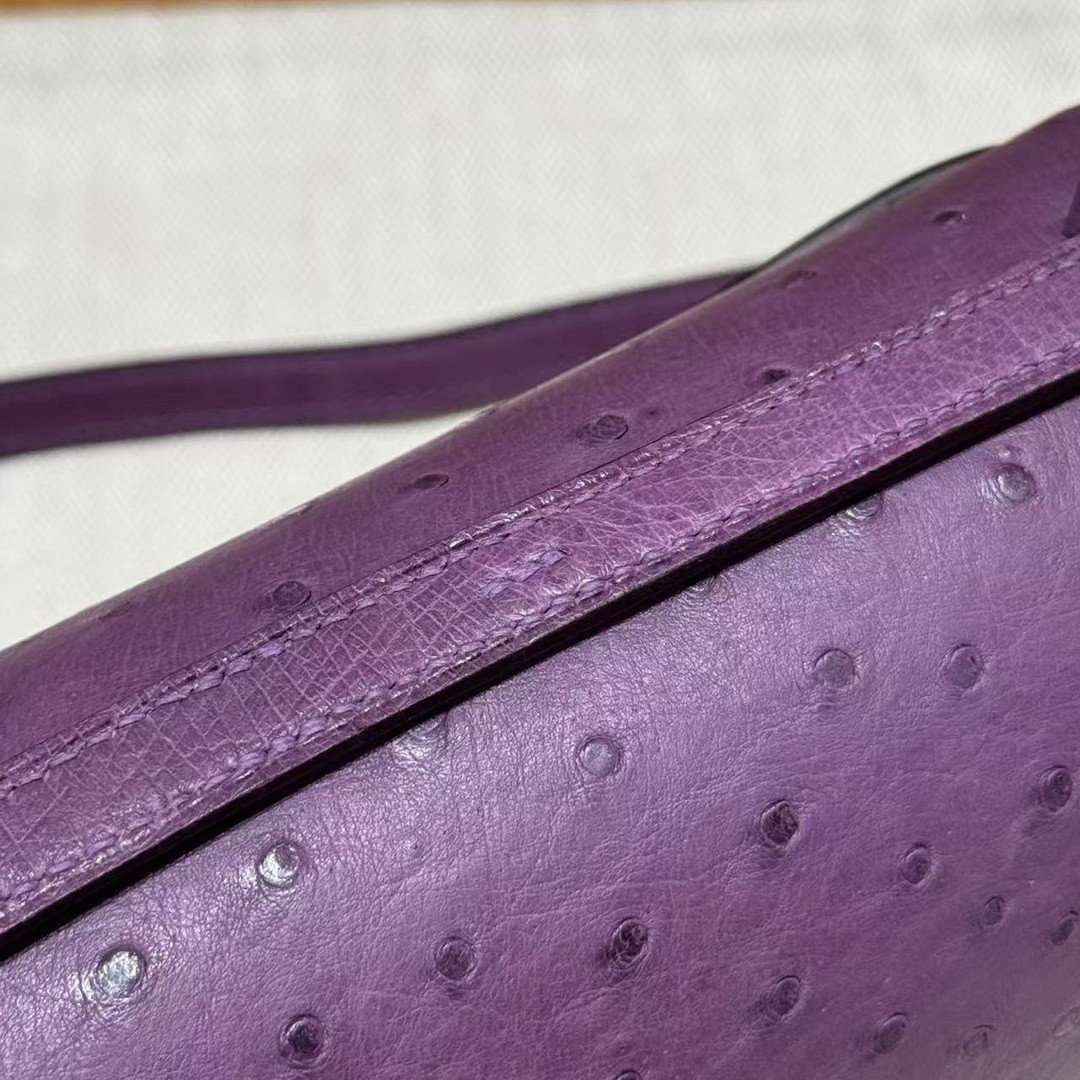 Hermes Constance 19 CM Bag Handmade In KK Ostrich Leather from South Africa Silver Hardware P9 Anemone - Image 7