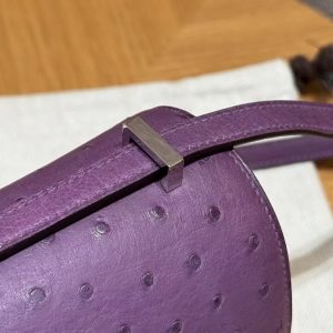 Hermes Constance 19 CM Bag Handmade In KK Ostrich Leather from South Africa Silver Hardware P9 Anemone - Image 6