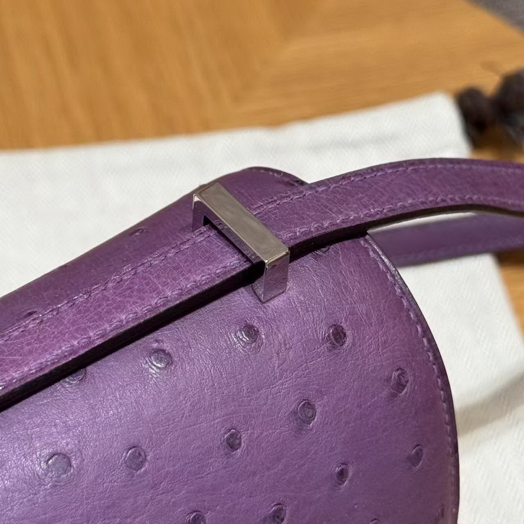 Hermes Constance 19 CM Bag Handmade In KK Ostrich Leather from South Africa Silver Hardware P9 Anemone - Image 6