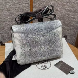 Hermes Constance 24 CM Bag Handmade In Lizard Leather from South Africa Silver Hardware 1B Ombre - Image 2