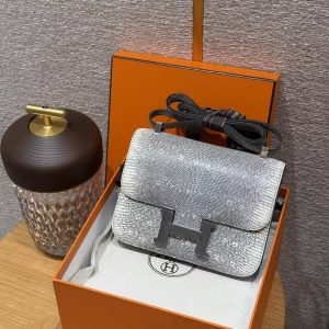 Hermes Constance 24 CM Bag Handmade In Lizard Leather from South Africa Silver Hardware 1B Ombre - Image 11