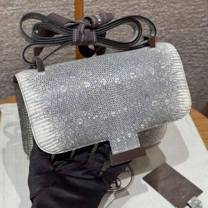 Hermes Constance 24 CM Bag Handmade In Lizard Leather from South Africa Silver Hardware 1B Ombre - Image 10