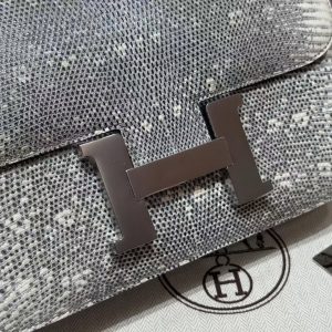 Hermes Constance 24 CM Bag Handmade In Lizard Leather from South Africa Silver Hardware 1B Ombre - Image 4