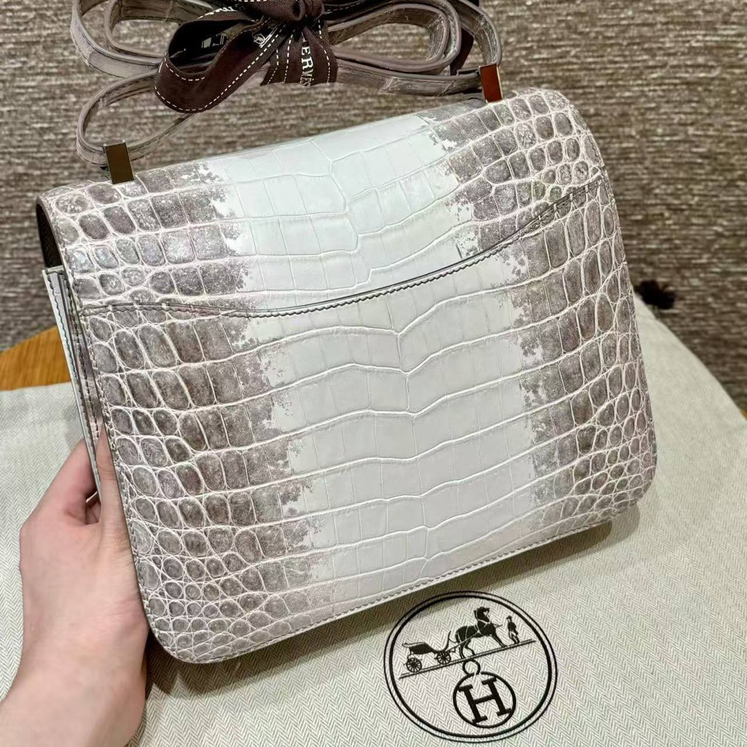 Hermes Constance 24 CM Bag Handmade In Niloticus Leather from Nile Silver Hardware Himalaya - Image 2