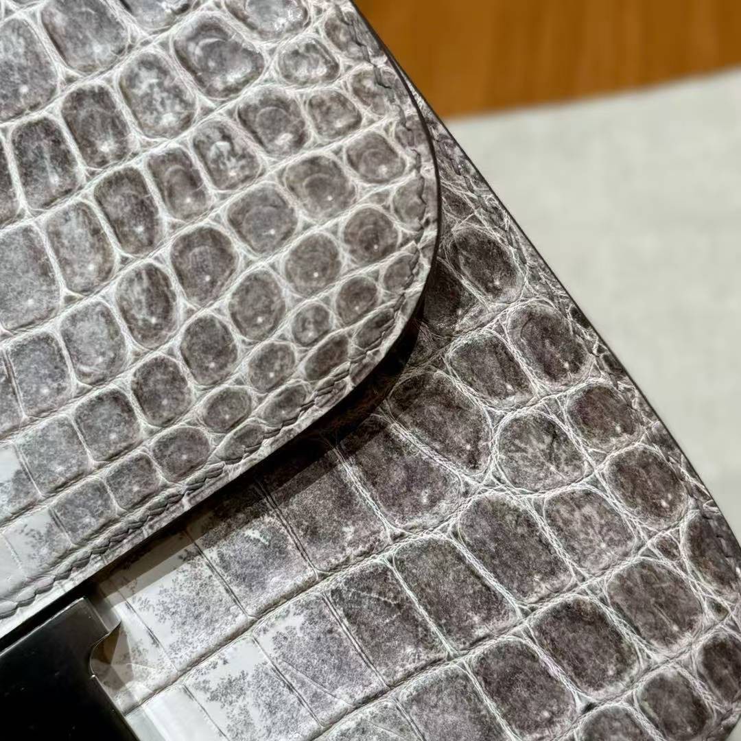 Hermes Constance 24 CM Bag Handmade In Niloticus Leather from Nile Silver Hardware Himalaya - Image 14