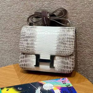 Hermes Constance 24 CM Bag Handmade In Niloticus Leather from Nile Silver Hardware Himalaya - Image 7
