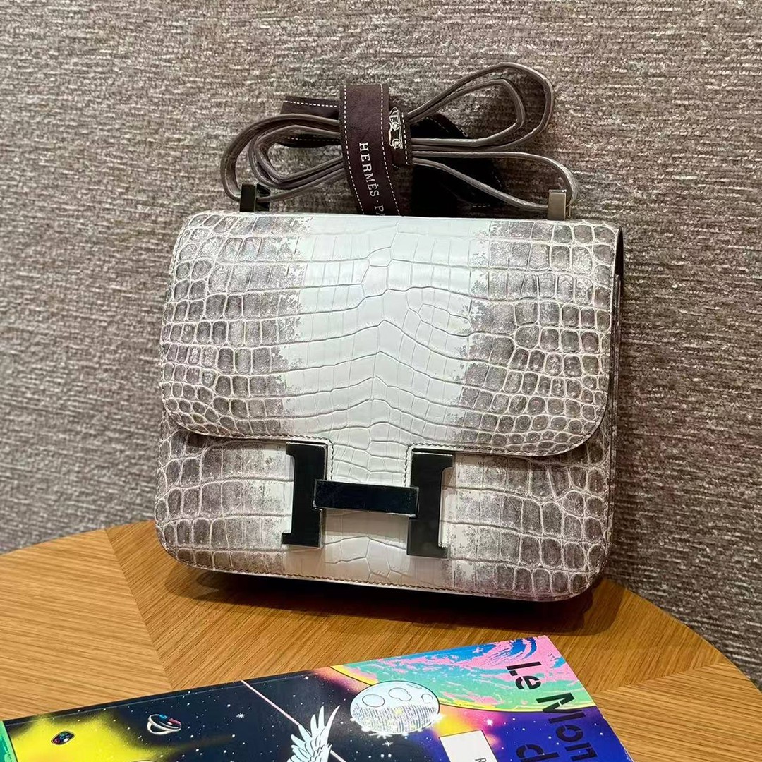 Hermes Constance 24 CM Bag Handmade In Niloticus Leather from Nile Silver Hardware Himalaya - Image 7