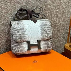 Hermes Constance 24 CM Bag Handmade In Niloticus Leather from Nile Silver Hardware Himalaya - Image 6