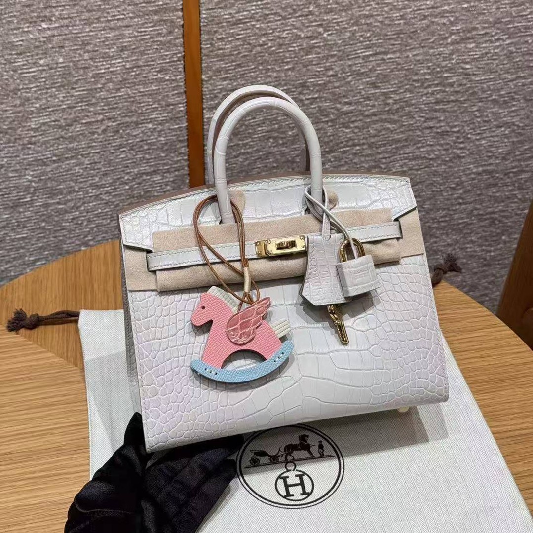 Hermes Birkin 20 Bag 8L Beton Handmade In Matte Alligator Leather Gold Hardware