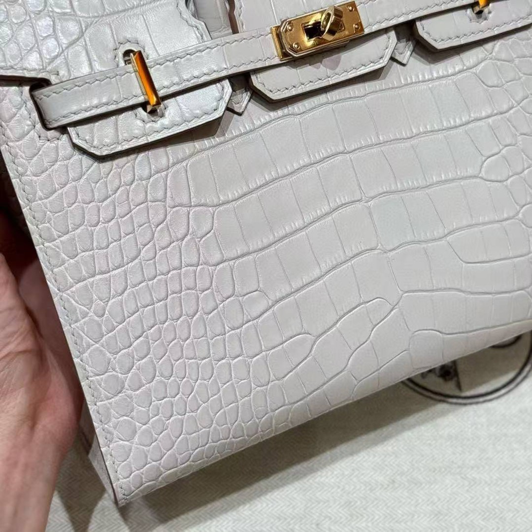 Hermes Birkin 20 Bag 8L Beton Handmade In Matte Alligator Leather Gold Hardware - Image 4