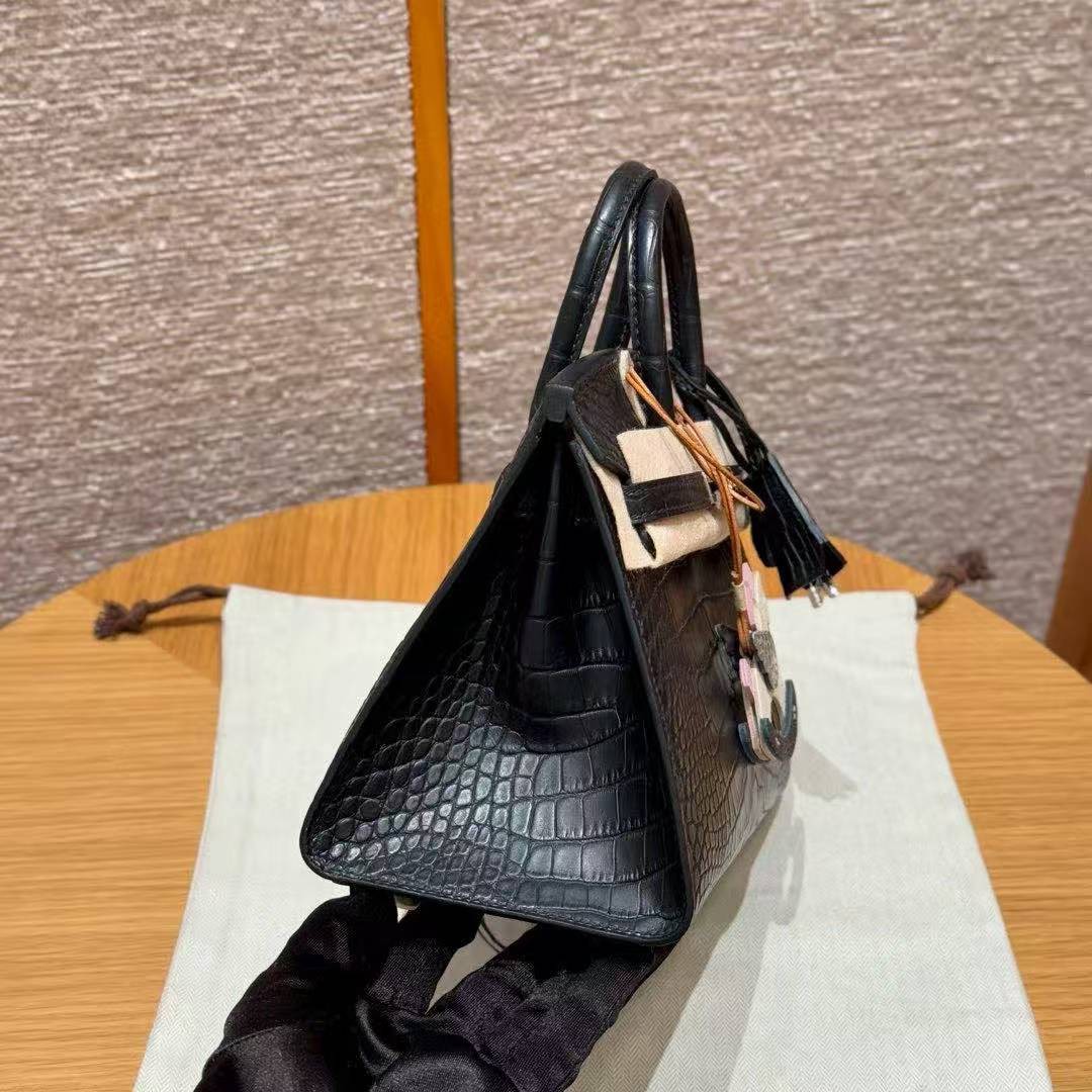 Hermes Birkin 20 Bag Handmade In Matte Alligator Crocodile Leather Silver Hardware 89 Noir - Image 18