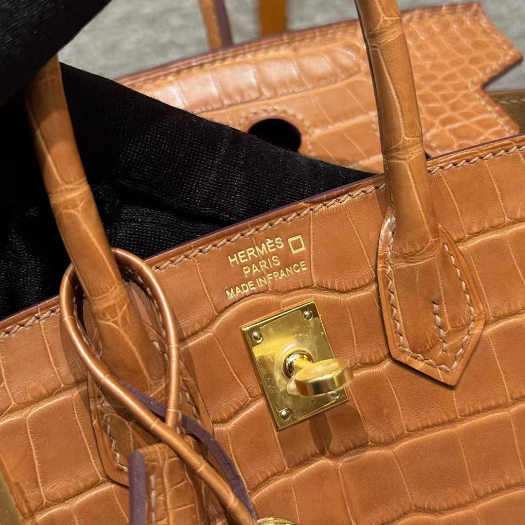 Hermes Birkin 20 Bag Handmade In Matte Alligator Leather Gold Hardware 37 Gold - Image 18