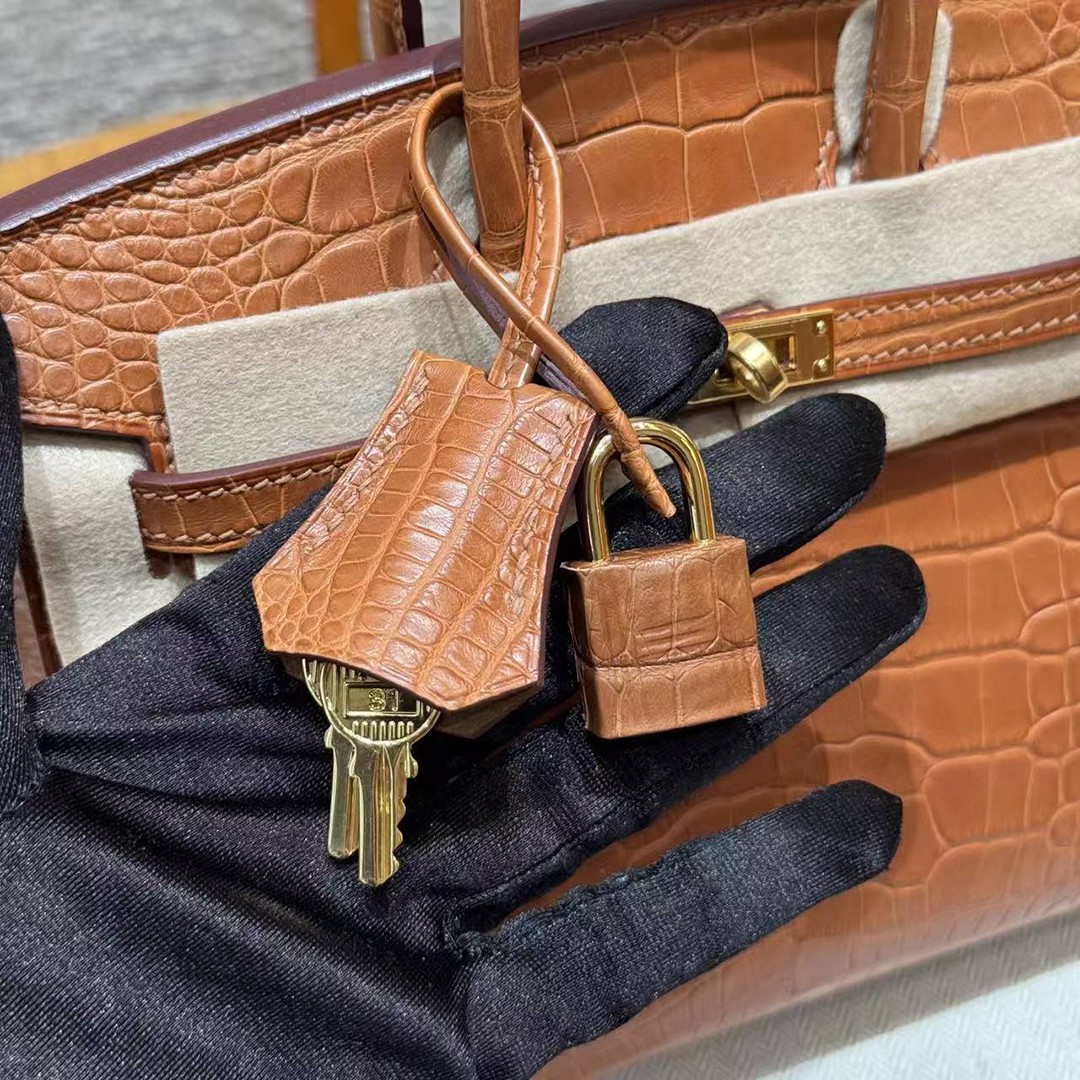 Hermes Birkin 20 Bag Handmade In Matte Alligator Leather Gold Hardware 37 Gold - Image 16