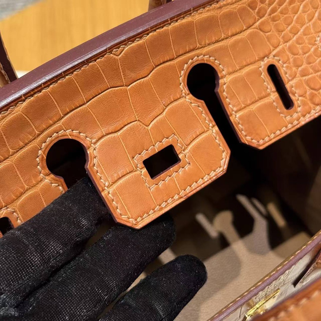 Hermes Birkin 20 Bag Handmade In Matte Alligator Leather Gold Hardware 37 Gold - Image 11
