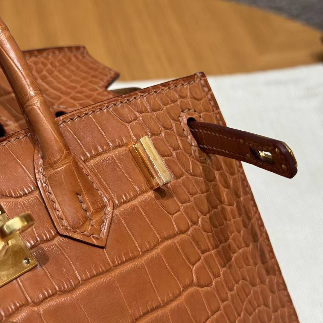 Hermes Birkin 20 Bag Handmade In Matte Alligator Leather Gold Hardware 37 Gold - Image 10