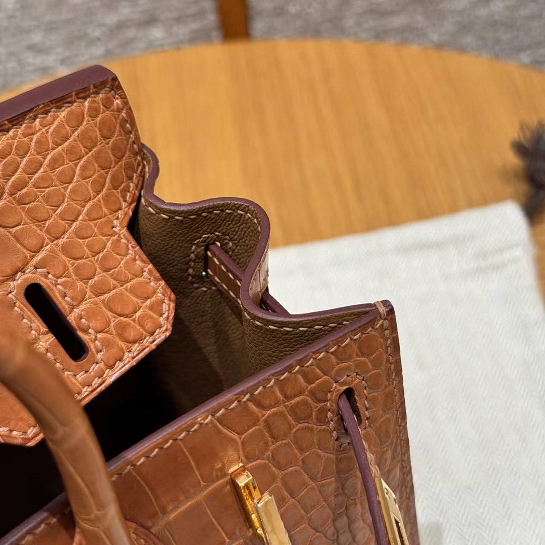 Hermes Birkin 20 Bag Handmade In Matte Alligator Leather Gold Hardware 37 Gold - Image 9
