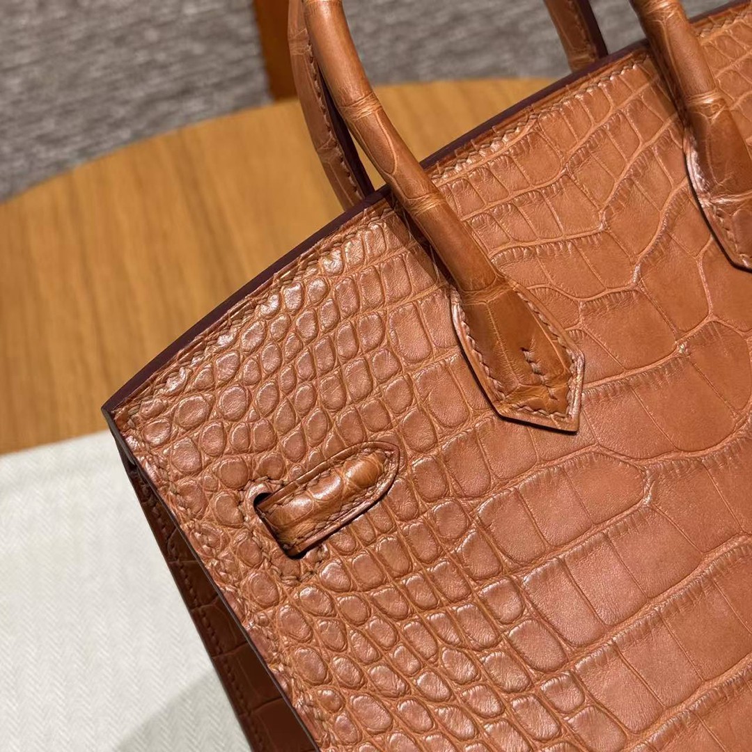 Hermes Birkin 20 Bag Handmade In Matte Alligator Leather Gold Hardware 37 Gold - Image 3
