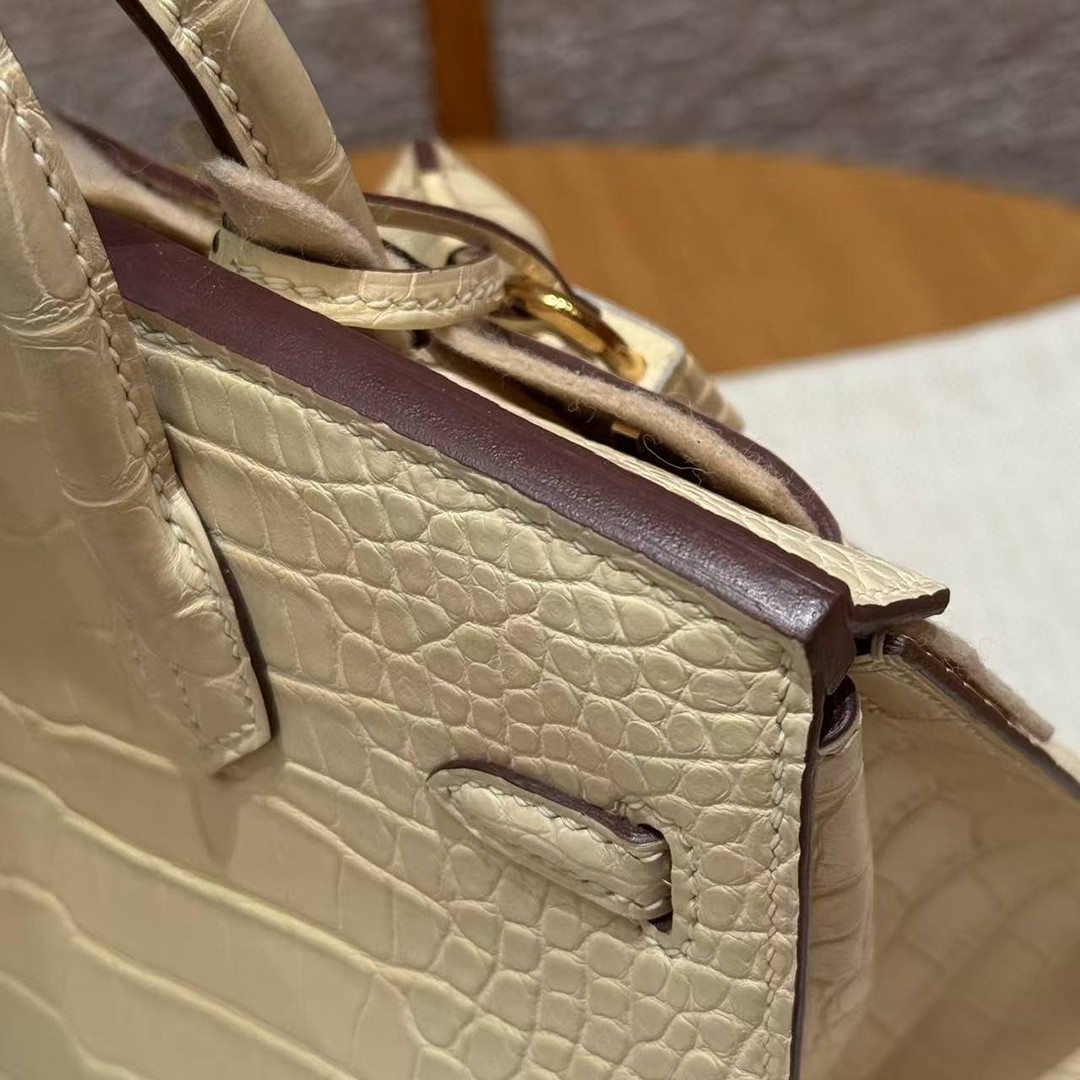 Hermes Birkin 20 Bag Handmade In Matte Alligator Leather Gold Hardware Y1 Vanille - Image 17