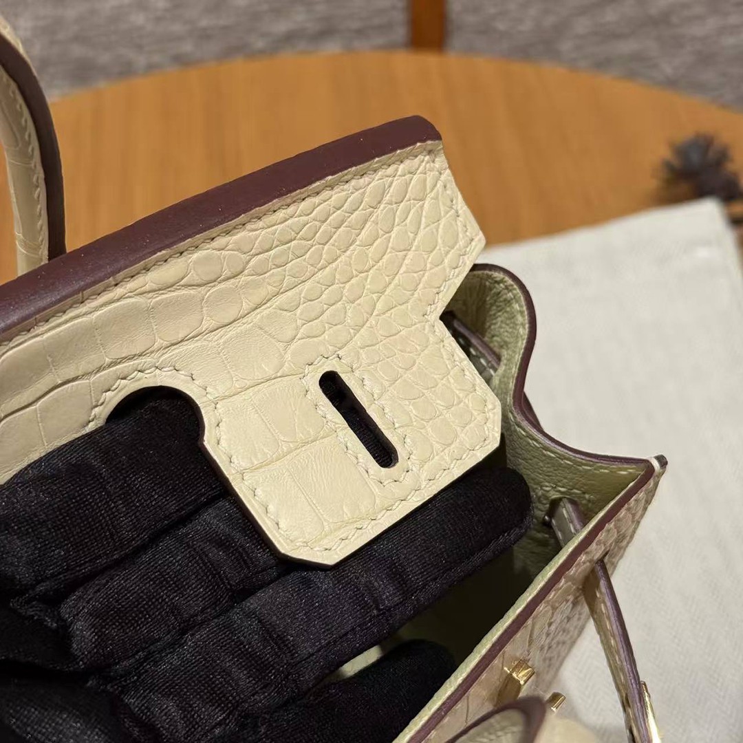 Hermes Birkin 20 Bag Handmade In Matte Alligator Leather Gold Hardware Y1 Vanille - Image 15
