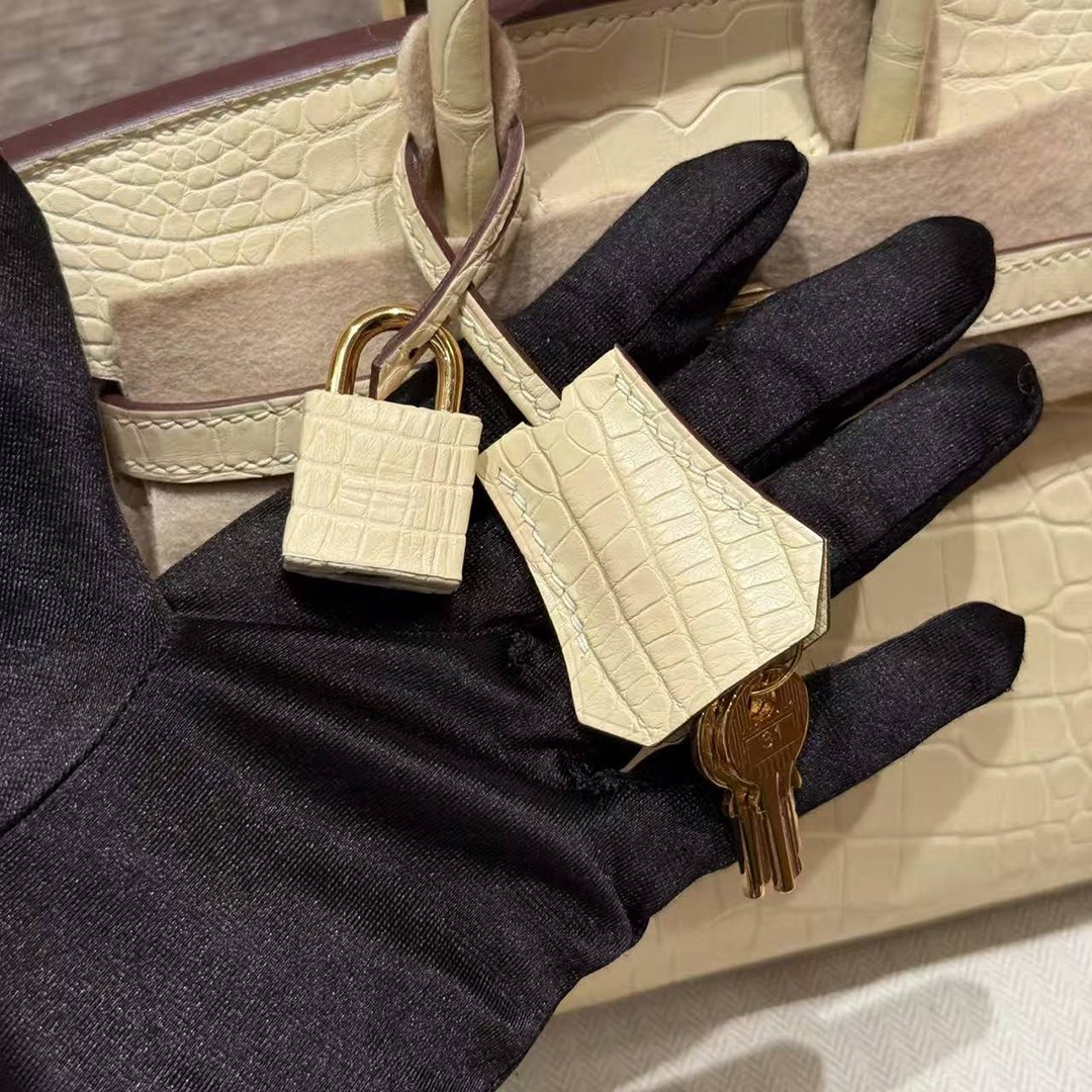 Hermes Birkin 20 Bag Handmade In Matte Alligator Leather Gold Hardware Y1 Vanille - Image 9