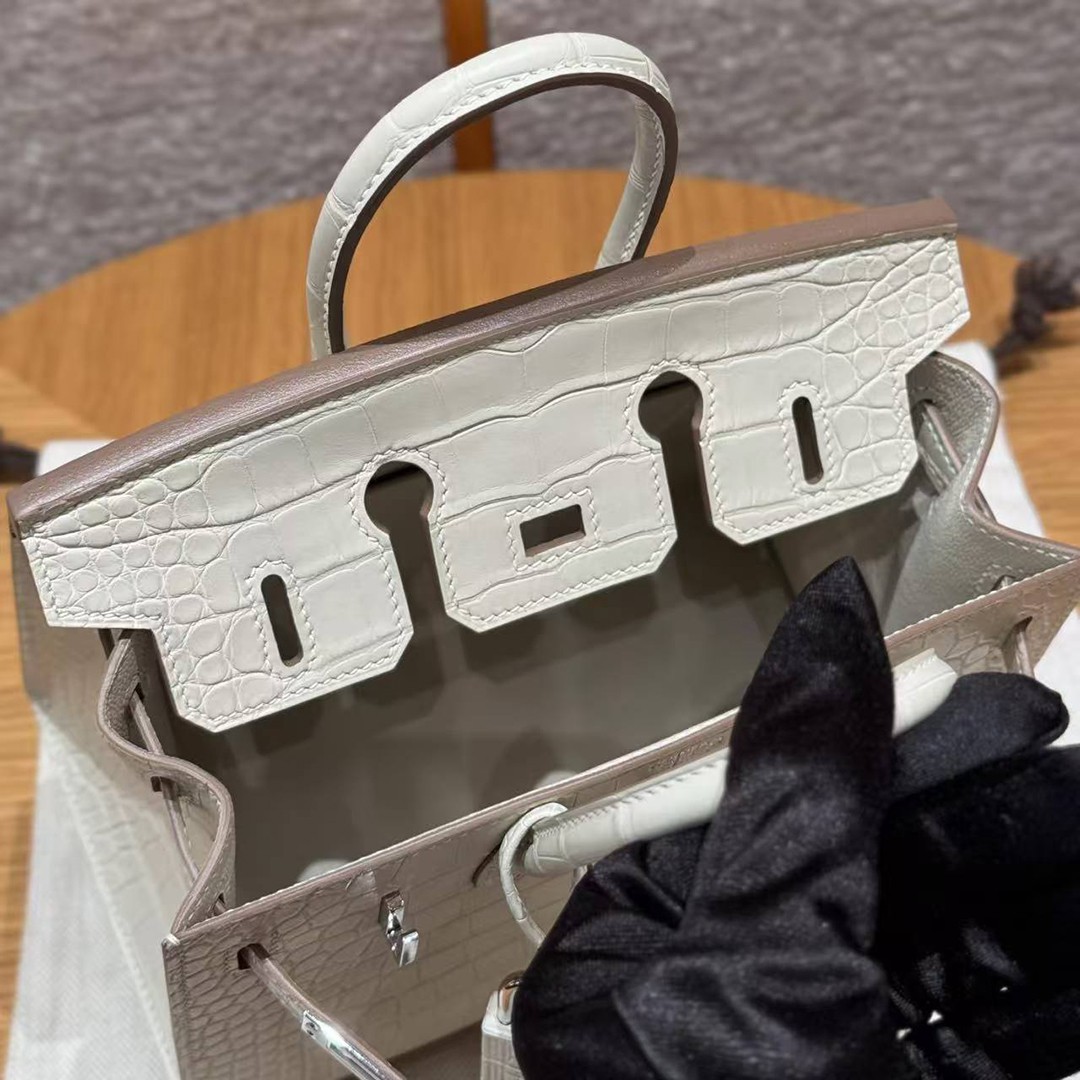 Hermes Birkin 20 Bag Handmade In Matte Alligator Leather Silver Hardware 10 Craie - Image 15