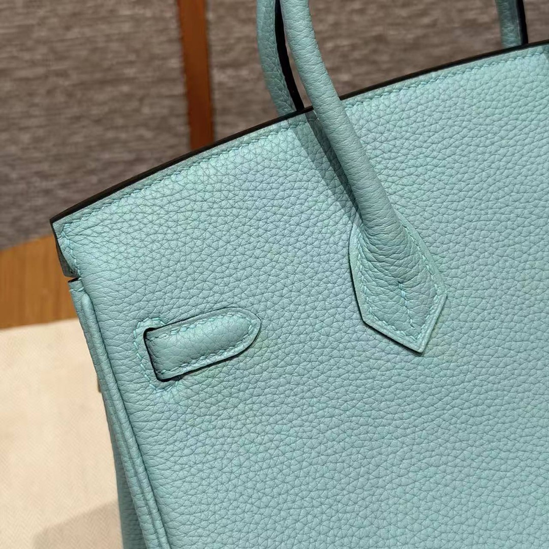 Hermes Birkin 25 Bag 7V Lagon Handmade In Togo Calfskin Leather Silver Hardware - Image 7